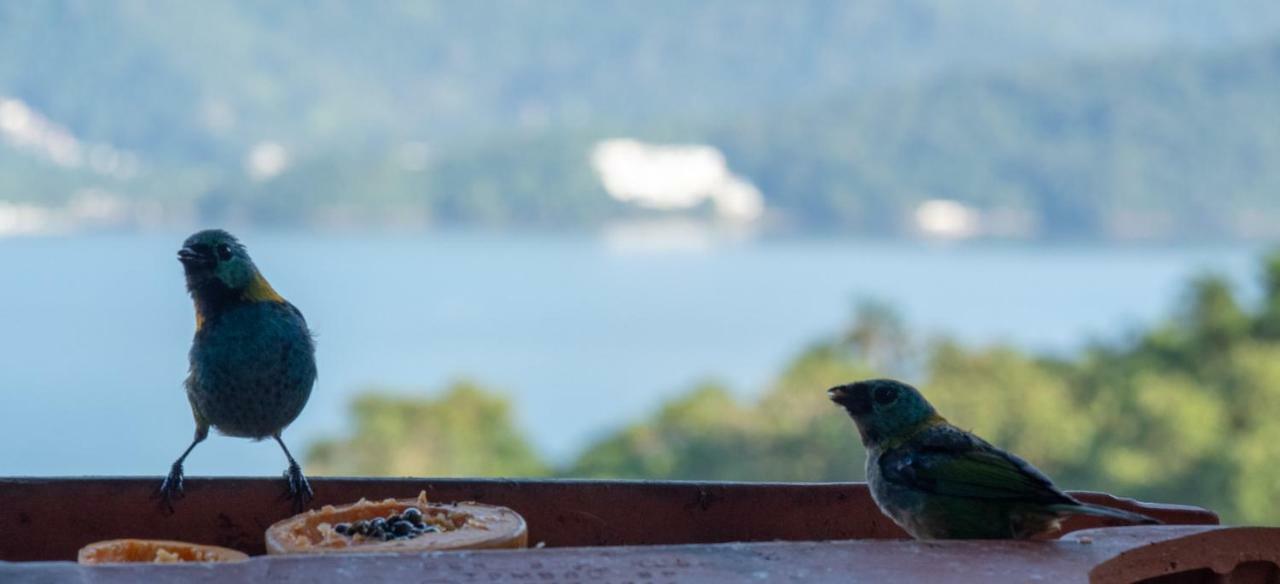Ore Suites E Chales Ubatuba Exterior photo